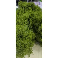 Mutkin Yosun Dekoratif Yeşil Yosun & 20GR Yapay Çiçek Teraryum Süsleme El Üşi Saksı Süsleme