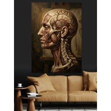 Artmeg Insan Başı Kas ve Anatomi Çizimi Dekoratif Kanvas - Mdf Ahşap Tablo