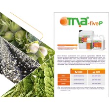 Era Grup Tria Five-P  5-20-5 (Npk) Azot, Fosfor, Potasyum Içerikli Sıvı Gübre (1L)
