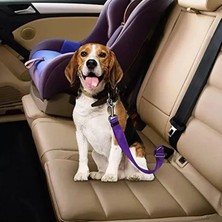 Calperia Mor Renkli Evcil Hayvan Araç Emniyet Kemeri