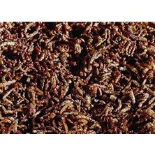 Calperia Genç Balıklar Için Lezzetli Sivrisinek Larvaları 250ML