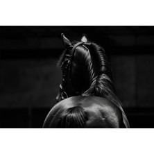 Aden Dijital Dekoratif Siyah At Kanvas Tablo