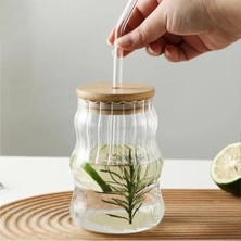 Uray Home 500ML Bambu Kapaklı Cam Bardak, Cam Pipetli Silikon Kapak Contalı Desenli Soğuk Içecekler Kahve Meyve Suları ve Çayları Için Şık Ergonamik Tasarım