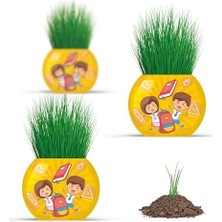 Uray Home Okul Temalı Çim Adam 6'lı Set – Çocuklar Için Eğitici ve Eğlenceli Bitki Yetiştirme Kiti