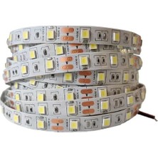 Uray Home 12V Yüksek Lümen Şerit Led: Metrede 60,120,240 LED - Beyaz,günışığı, Renk Seçenekleri - 5,10,15,20,25 Metre Seçenekleri - Iç Mekan Aydınlatma (5 Metre - 240 Led/metre, Günışığı)