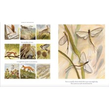 Uray Home Time Runs Like A River