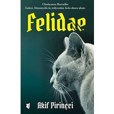 Uray Home Felıdae