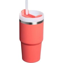 Uray Home Pipetli Termos Bardak, (Hot), 0.60 Litre