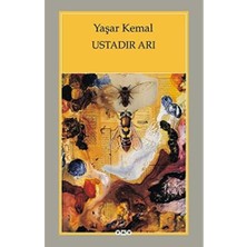 Emdeco Ustadır Arı: Yazılar - Konuşmalar