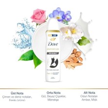 Emdeco Invisible Dry Deodorant 150 ml