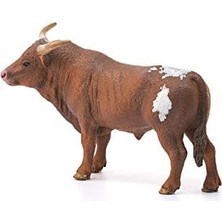 Uray Home 13866 T Longhorn Boğa, Renkli