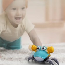 Uray Home Giffy/oyuncak Emeklemeye Yardımcı 3 Kademeli Hız Kapatıp Açılabilen Müzikli Sensörlü Dahili Şarjlı Yengeç Yatay Hareketli (Mavi)