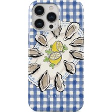 Emdeco Burga 13 Pro Max Için Magsafe ile Uyumlu Tough Kılıf, Special