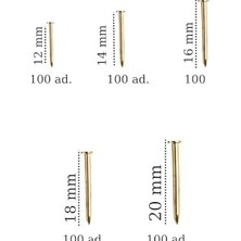 Emdeco 500 Adet 5 Çeşit Nikel Kaplı Küçük Dekoratif Ahşap Çivileri- Süs Eşyaları, Ince Işçilik Için