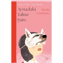 Emdeco Aynadaki Yalnız Şato