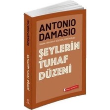 Uray Home Şeylerin Tuhaf Düzeni: Yaşam, Hisler ve Kültürlerin Doğuşu