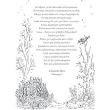 MiraLive Yalancı Varis