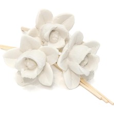 Emdeco Gül Seramik Taşlı 10'lu Doğal Bambu Kamış Seti