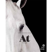 MiraLive At Kitabı Resim Sanatında Atlar