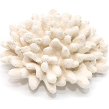 Emdeco 500 ml Oda Kokusu Için Yedek Fitilli Taş