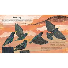 Emdeco National Trust: Birds Of A Feather: Press Out And Learn About 10 Beautiful Birds