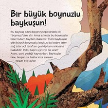 Emdeco Tepeden Kuyruğa - Kuşlar