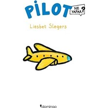 Emdeco Pilot Ne Yapar?