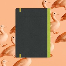 MiraLive Book 20 Esnek Notebook, 17X24 Açik Yeşil Şerit, Çizgili 192 Sayfa 85GR