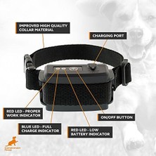 Asseds Store Ls3 - Deri Parlatma Kayışı
