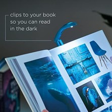 Asseds Store If Tiny Book Light - Blue