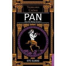 Emdeco Pan Bize Ne Mesaj Veriyor?