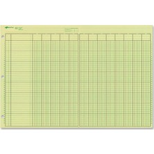 Asseds Store Ulusal Analiz Defteri, 13 Sütun, Yeşil Kağıt, 11 x 16.5 Inç, 50 Yaprak (45613)