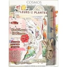 MiraLive Guguk Lane Old Temalı Parşömen Kağıt Set