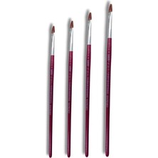 Asseds Store 4'lü Akrilik ve Yağlı Boya Fırça Seti