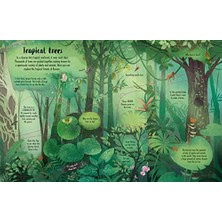 Asseds Store Lift-The-Flap Trees