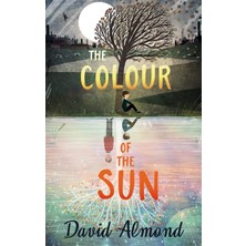 Asseds Store The Colour Of The Sun