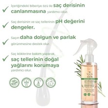 Asseds Store Biberiye Özlü Saç Dökülme Önleyici & Sağlıklı Hızlı Uzama, 7 Doğal Aktifli, 3'lü Saç Bakım Seti