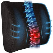 Asseds Store Eryatex Ortopedik Sırt Bel Minderi Ofis Oturma Minderi Bel Destek Yastığı Sırt Minderi Minderi