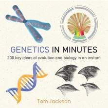 Asseds Store Genetics In Minutes