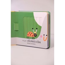 Asseds Store Sihirli Pencereler - Hayvanlar