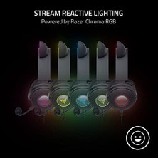 Asseds Store Kraken V2 Pro - Değiştirilebilir Kulaklı Kablolu Rgb Kulaklık (Değiştirilebilir, Ayı ve Tavşan Kulakları; Reaktif Akış Aydınlatması) Siyah
