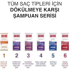 Asseds Store Şampuan – Saç Dökülmesine Karşı, Üzüm Çekirdeği Ekstraktlı, Bitkisel Kompleks B19, Yağ Dengeleyici, 360 ml