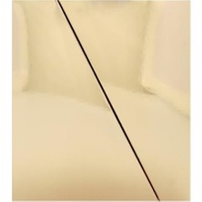 Asseds Store Estee Lauder Re Nutriv Ultimate Diamond Revitalizing Mask 50 ml Maske 1 Paket (1 x 50 Ml)