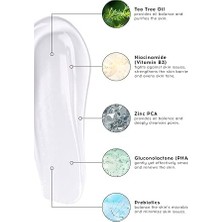 Asseds Store Cream Co. Sivilce & Akne & Siyah Nokta Karşıtı Yüz Temizleme Jeli,  Çay Ağacı YAĞI,100 ml