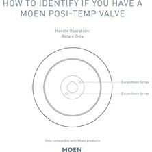 Ecovibe Gibson Mat Siyah Posi-Sıcaklık Basınç Dengeleyici Çevre Dostu Modern Duş Süsü, Valf Gerekli, T2902EPBL