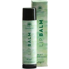 Ecovibe Nane ve Zeytinyağlı Organik Nemlendirici Dudak Balmı 5 gr