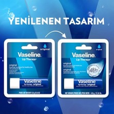 Ecovibe Lip Therapy Dudak Bakım Kremi Original 4.8 gr