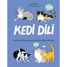 Ecovibe Kedi Dili Kedinizi Anlayabilmeniz Için Resimli Bir Rehber