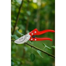Ecovibe Profesyonel Bağ Makası, 8", 65MN Karbon Çelik Bıçaklı, Polipropilen Saplı, Bypass, Ergonomik, Budama, Dal Kesme Aleti, Bahçe, Çiçek, Bitki Budayıcı
