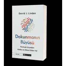 Ecovibe Dokunmanın Büyüsü: Parmak Ucundan Kalbe ve Zihne Giden Yol